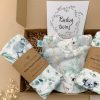 Unisex Twins Koala Themed Hamper Left Side