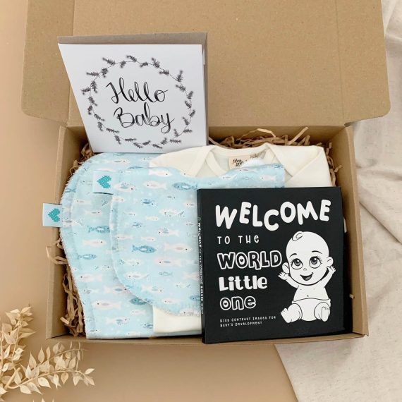 Welcome to the world baby boy hamper main image