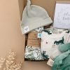 dinosaur themed baby gft box left side