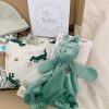 dinosaur themed baby gft box right side